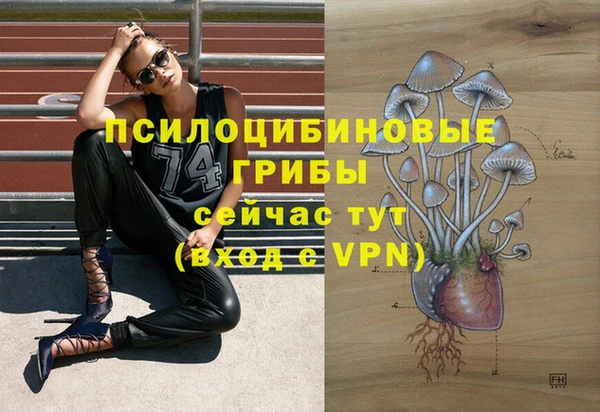 тгк Заволжск