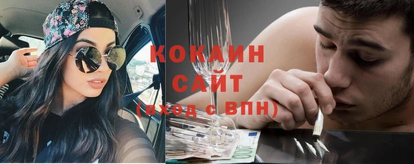 гашик Заводоуковск