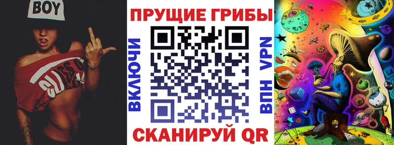даркнет какой сайт  Сердобск  Галлюциногенные грибы Psilocybe 