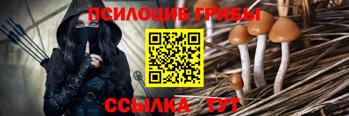 Псилоцибиновые грибы Psilocybe  купить наркотик  Сердобск  Вход с VPN 